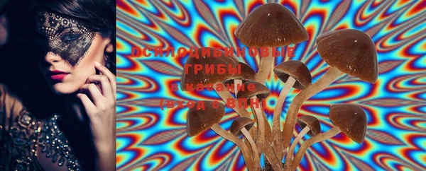 PSILOCYBIN Семилуки