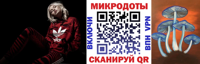 цена наркотик  darknet официальный сайт  Псилоцибиновые грибы Psilocybe  Архангельск 